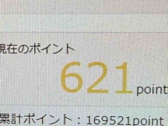 株を買ったよ～†ヽ(ﾟﾛﾟ；)ｷｪｰｯ!