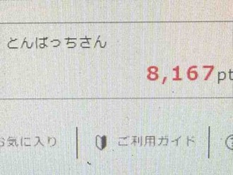 配当きたし株を買ったよ~('Д')