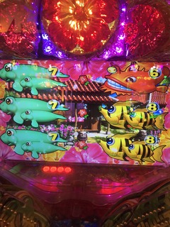 IMG_4043