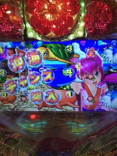 IMG_0046