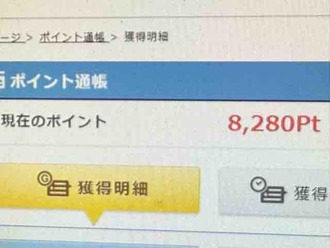 株を買いました～ 夜露死苦(ノ´ロ`)ノ