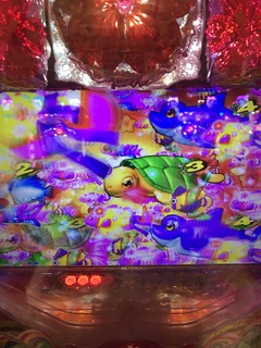 IMG_0083
