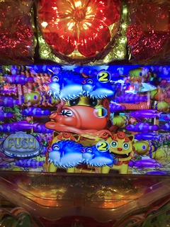IMG_6141