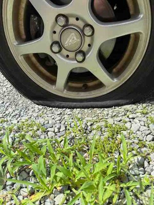 パンクしちゃった…ガ━━∑(´･ω･|||)━━ン