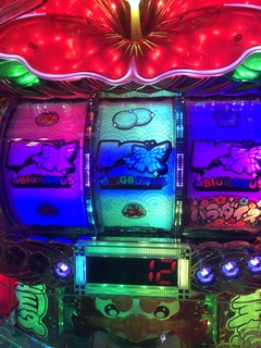 IMG_4084