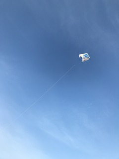 IMG_5702