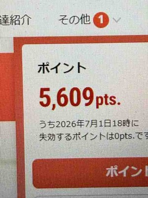 配当きたし株を購入～(-。-)y-゜゜゜　