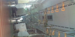 7d3bc47e.jpg