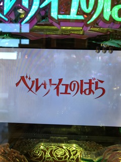 IMG_8577