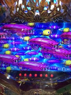 IMG_3347