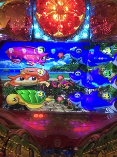 IMG_4047