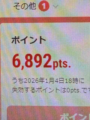 お小遣い稼ぎした～( *´艸｀)