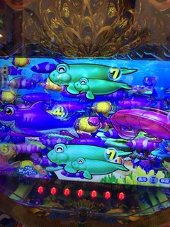 IMG_0114