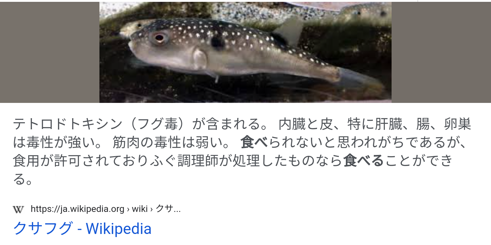 フグが釣れたらぶっ殺してその辺に捨てる釣り人wwwwww アウトドアまとめちゃん フグが釣れたらぶっ殺してその辺に捨てる釣り人wwwwww アウトドアまとめちゃん