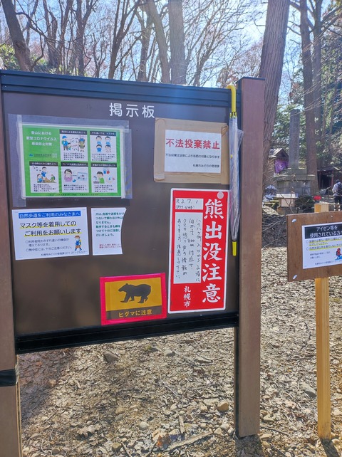 (´･ω･`)登山来たよ