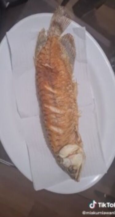 驚愕 女さん 夫が水槽を掃除しないことに激怒 アロワナをフライにしてsnsに画像をupする アウトドア情報まとめアンテナ