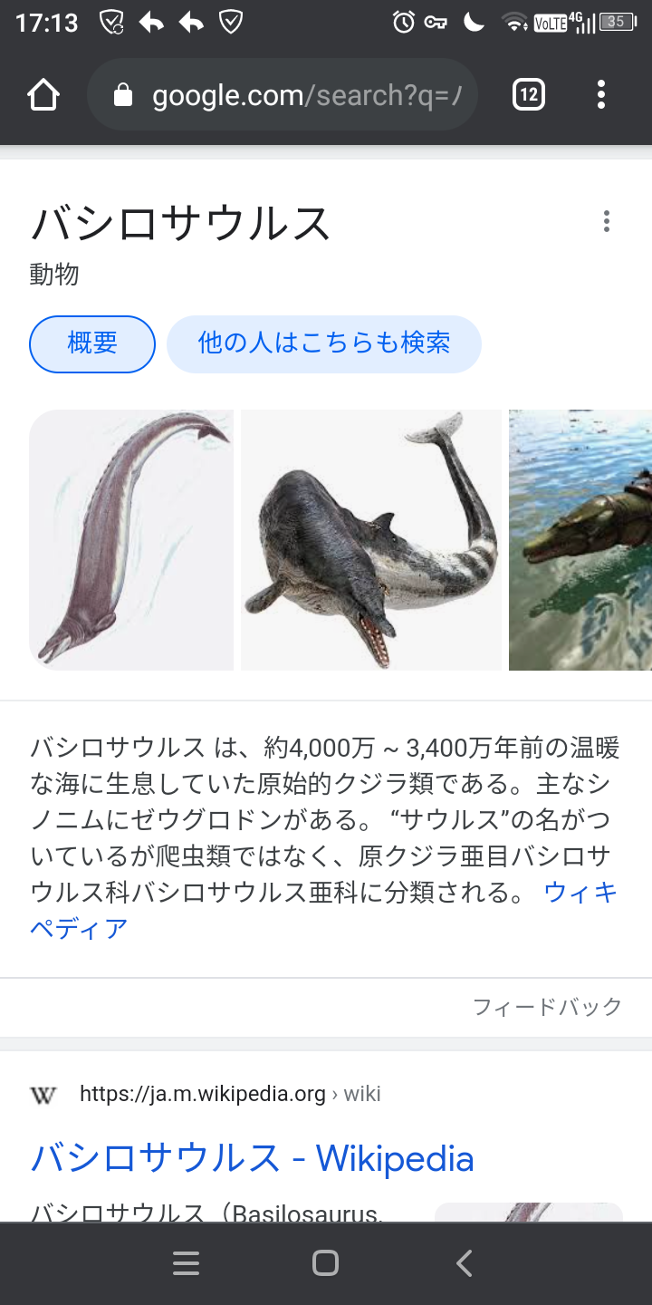 哺乳類最強 ホッキョクグマ 鳥類最強 オウギワシ 爬虫類最強 ナイルワニ 魚類最強 アウトドアまとめちゃん 哺乳類最強 ホッキョクグマ 鳥類最強 オウギワシ 爬虫類最強 ナイルワニ 魚類最強 アウトドアまとめちゃん