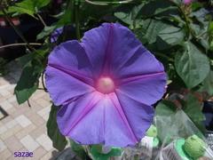 DCQAuEpSkbEOF621534393293_1534393833