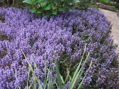DSCF2210