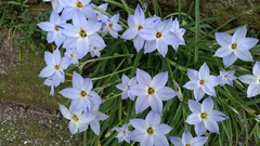 KIMG0462