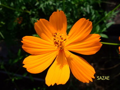 0j00jORdi7LwTQn1535175899_1535175948