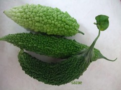 i9Ht6A5GofDSsca1534499120_1534499183 (1)