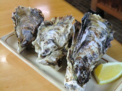 うなぎ料理　安芸の国 (7)蒸し牡蠣