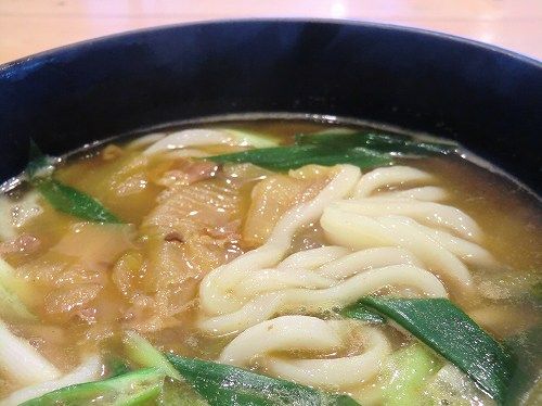 カレーうどんの渡辛来屋（とからいや）工場前店〔だしカレーうどん：麺 アップ〕 (9)