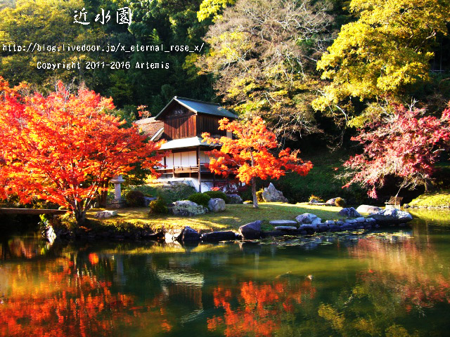 0 近水園 (6)