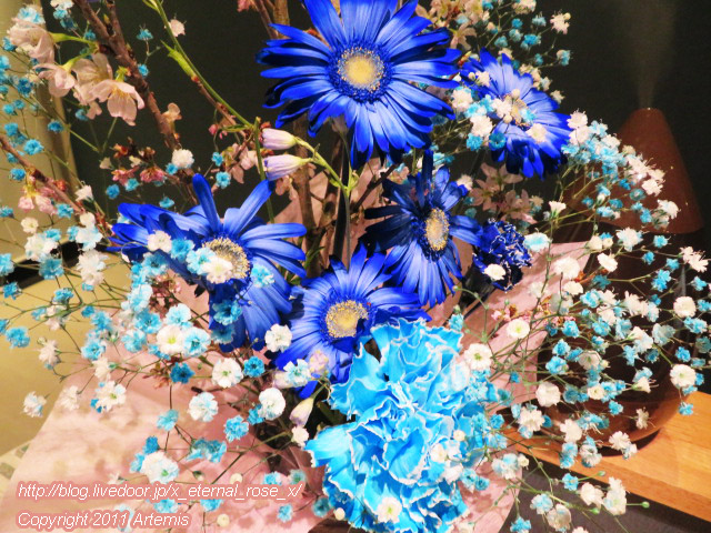 20.3.8 日本酒カフェ  (24)