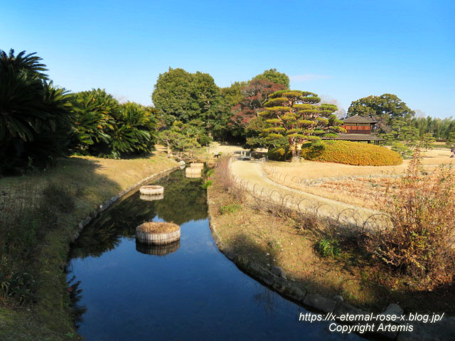 23.1.1 岡山後楽園  (91)