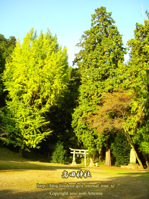 5高田神社 (5)