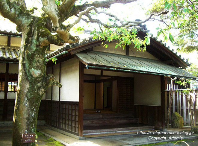 11.5.5.3 旧野﨑家住宅 野﨑家塩業歴史館 (6)