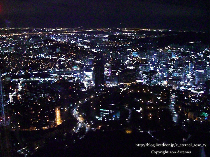 9.11.12.8 Nソウルタワー  (15)