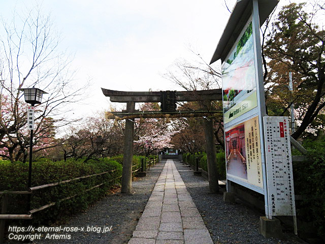 22.3.30.4 長岡天満宮  (25)