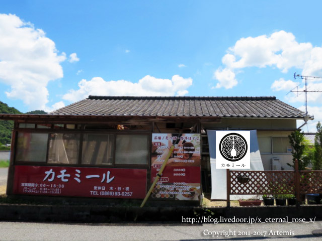 19 カモミール (1)