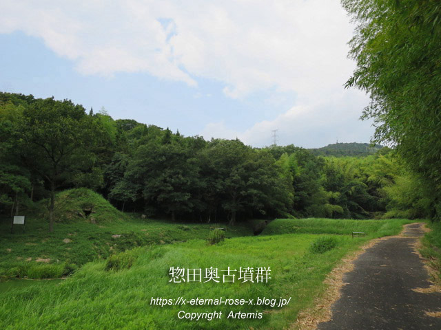 17.7.28.2 惣田奥古墳群 (15)