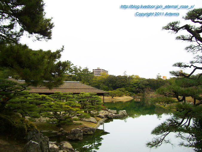11.2.20 栗林公園 (28)