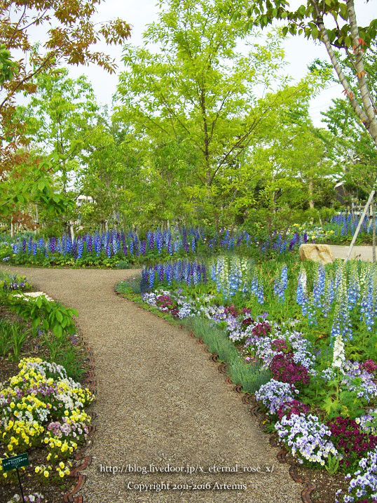 27 おかやま花だより  (61)