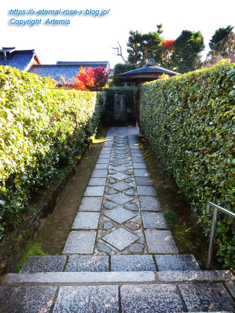 19.11.23.7 妙心寺 退蔵院  (47)