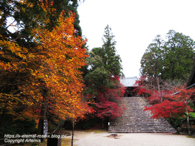 19.11.27 高雄 神護寺  (74)