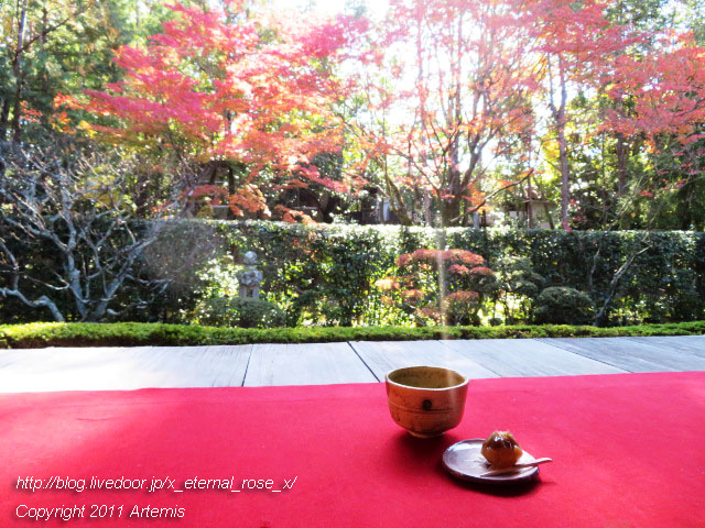 19.11.23.3 桂春院 (60)