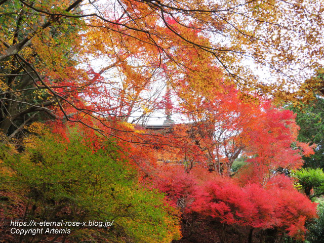 19.11.27 高雄 神護寺 (125)