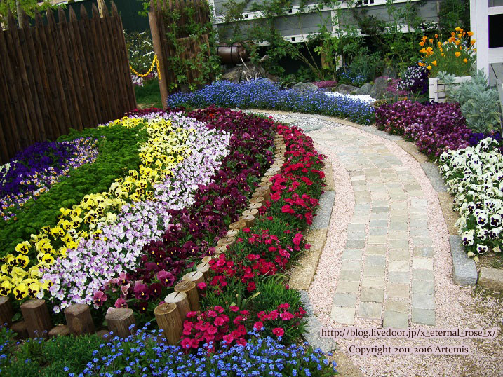 27 おかやま花だより  (7)