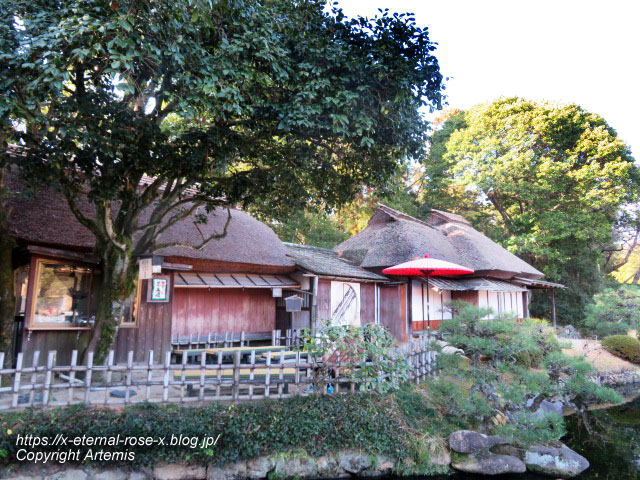 23.1.1 岡山後楽園  (99)