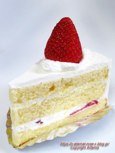 22.12.25 サフラン  (32)