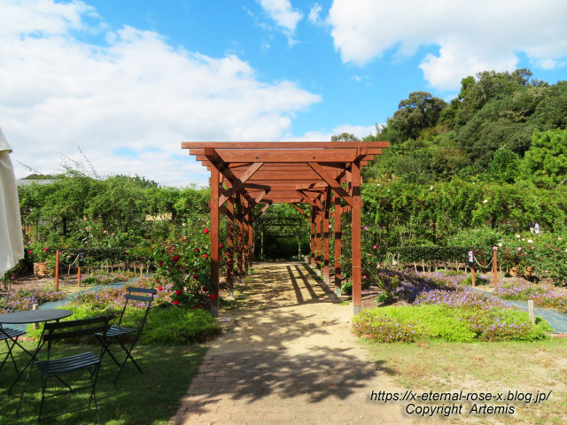 21.10.23.2 熊山英国庭園  (39)