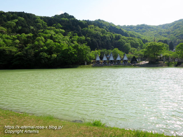 17.5.1.9 太陽公園  石のエリア (91)