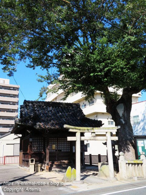 19.9.26.1 榎本神社 (1)
