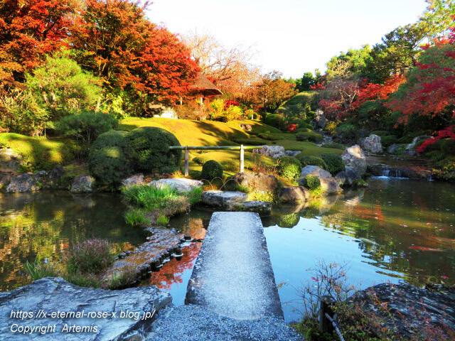 19.11.23.7 妙心寺 退蔵院  (71)